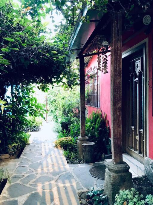 Casa I'X Apartment ซานฮวนลาลากูนา ภายนอก รูปภาพ